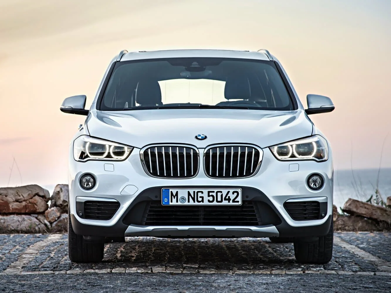 BMW X1 II — фото 2