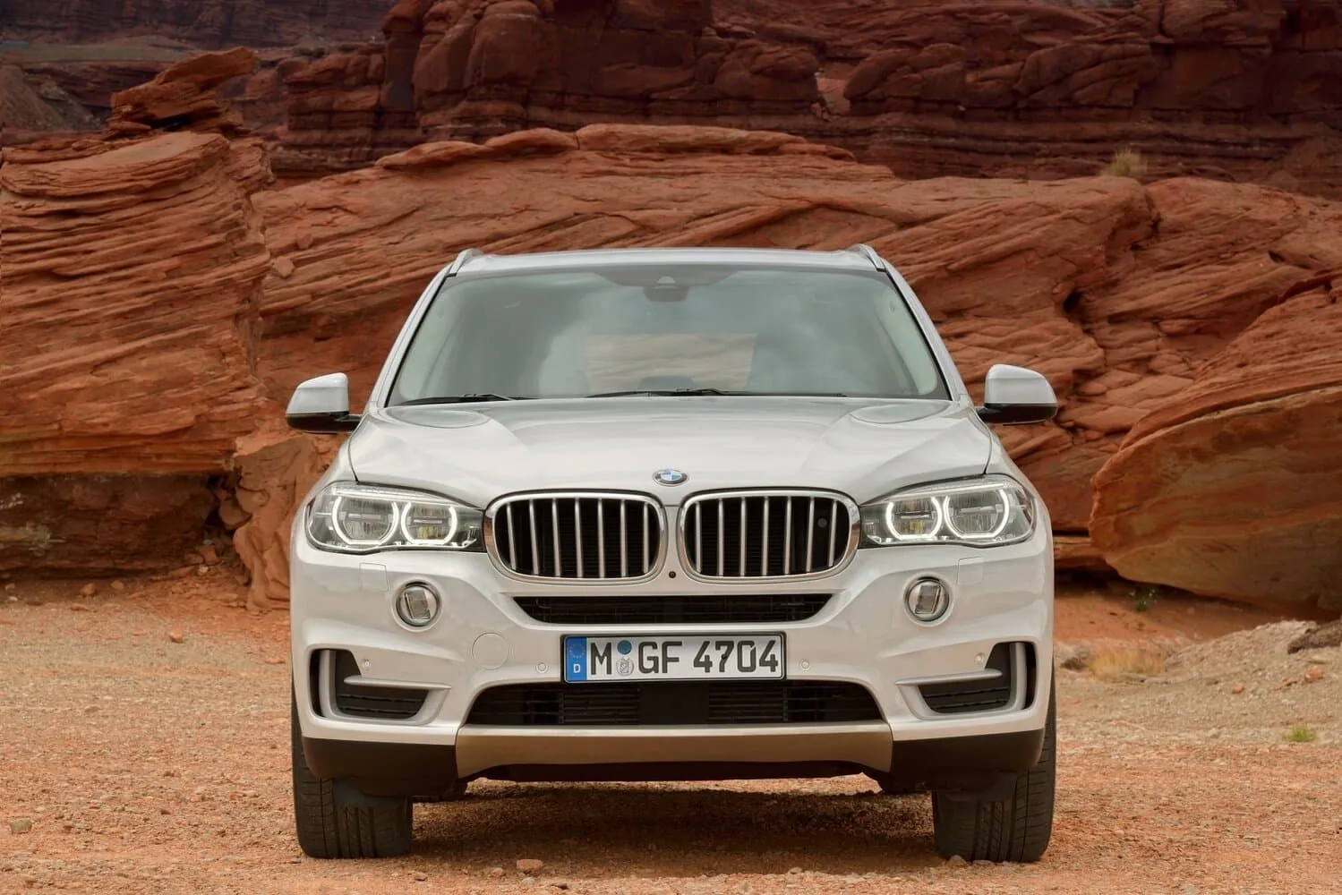 BMW X5 III — фото 2