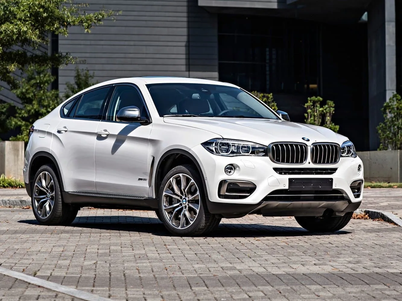BMW X6 II