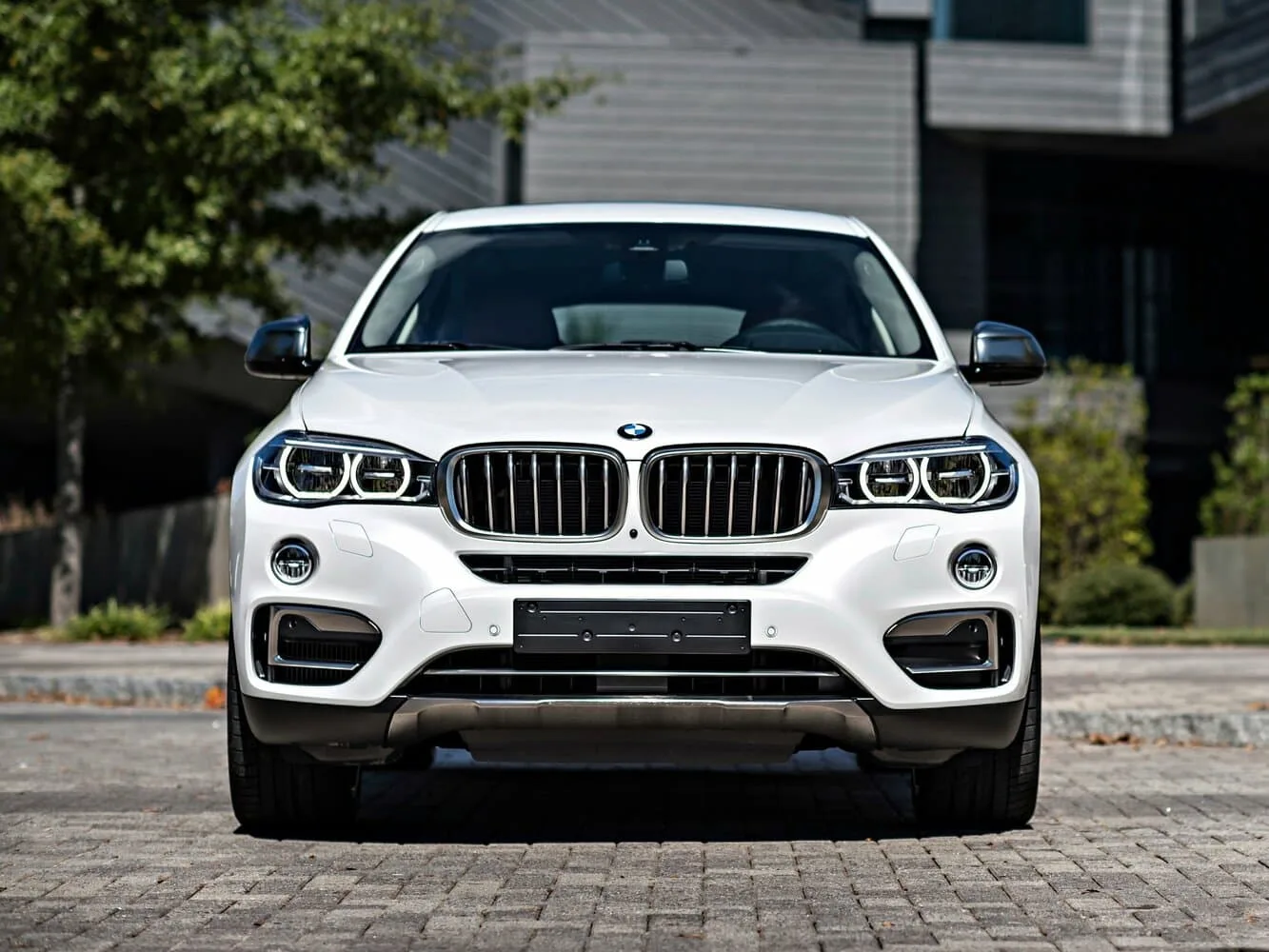 BMW X6 II — фото 2