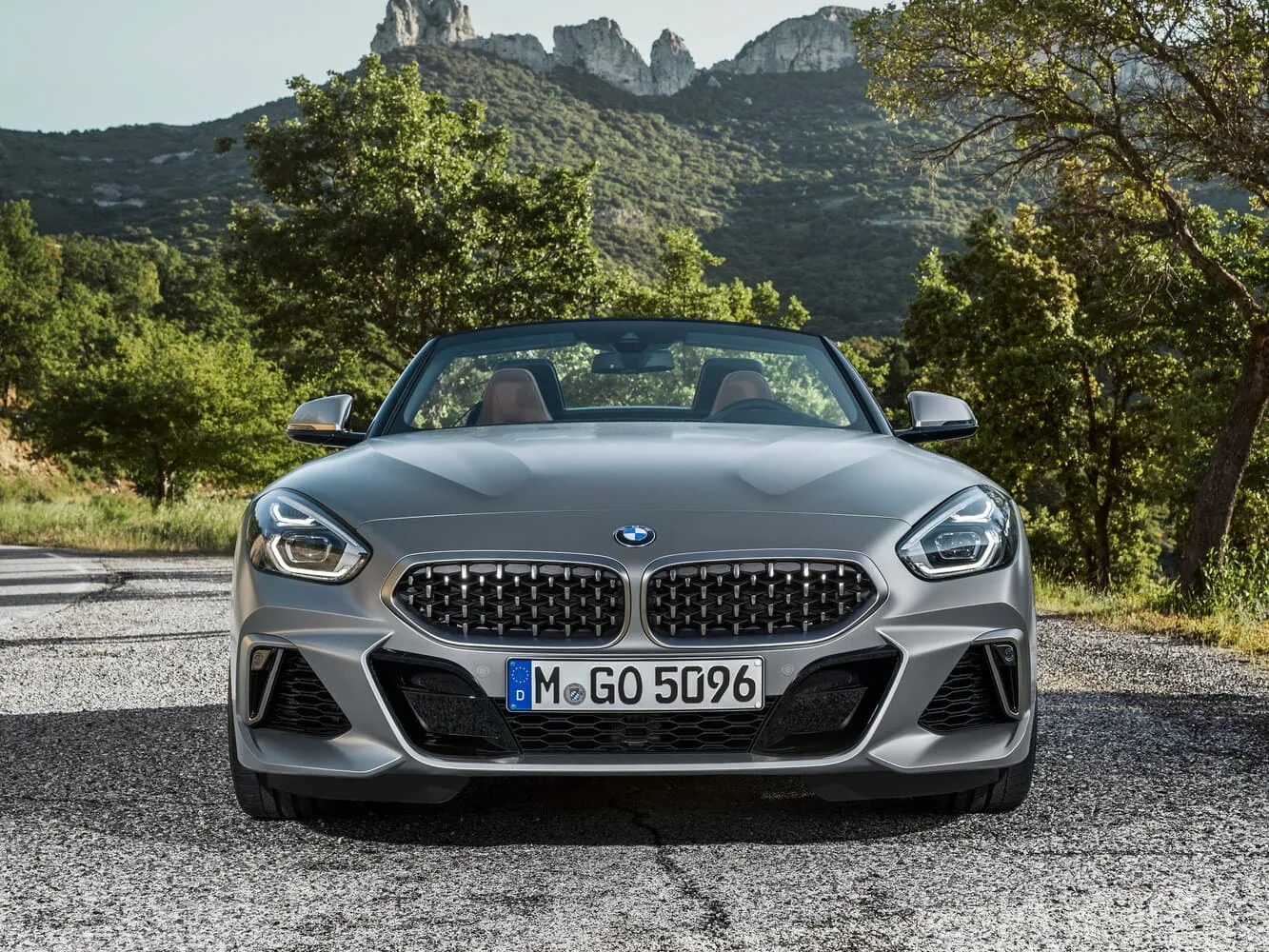 BMW Z4 III — фото 2