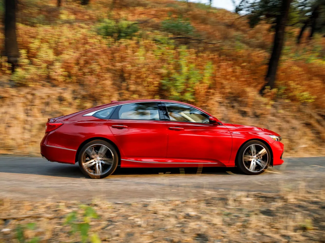 Honda Accord X Рестайлинг — фото 3