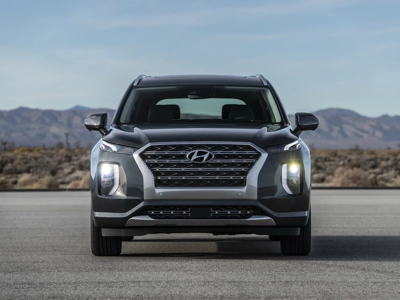 Hyundai Palisade I — фото 2