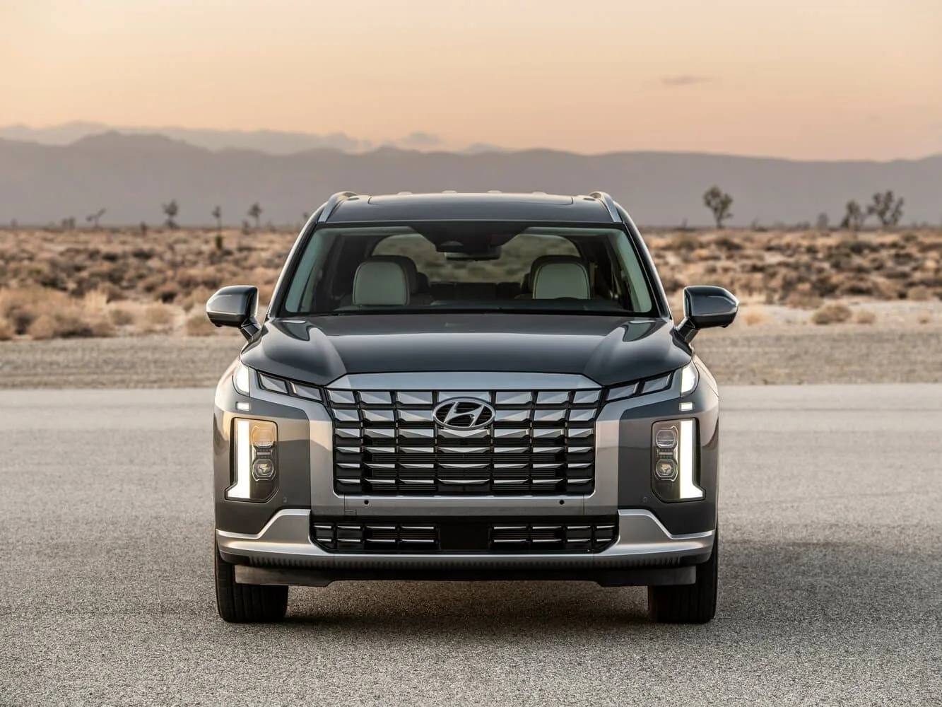 Hyundai Palisade I Рестайлинг — фото 2