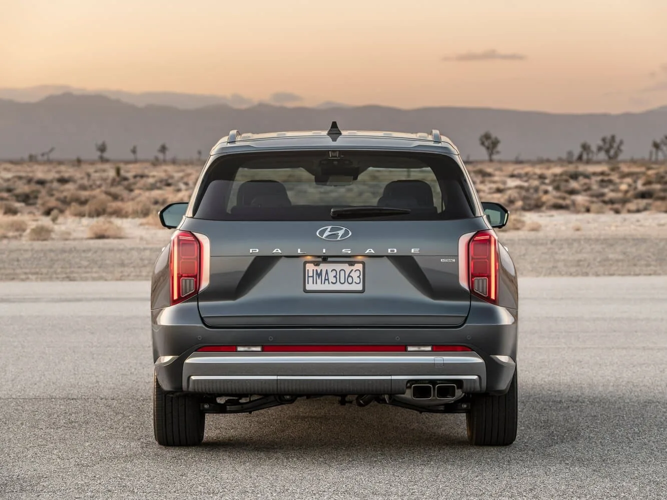 Hyundai Palisade I Рестайлинг — фото 4