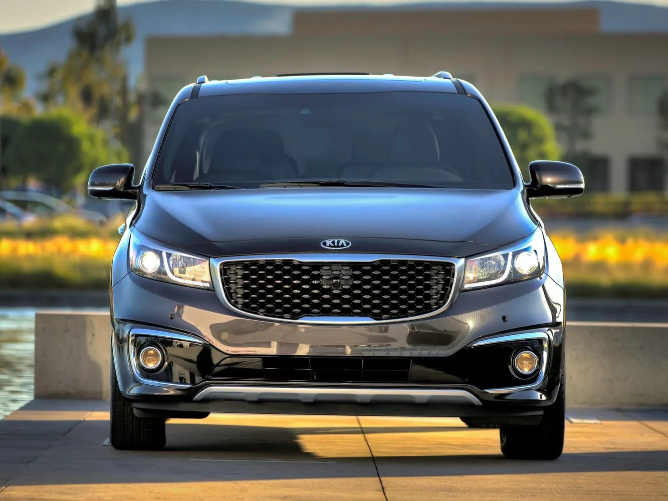 Kia Carnival III — фото 2