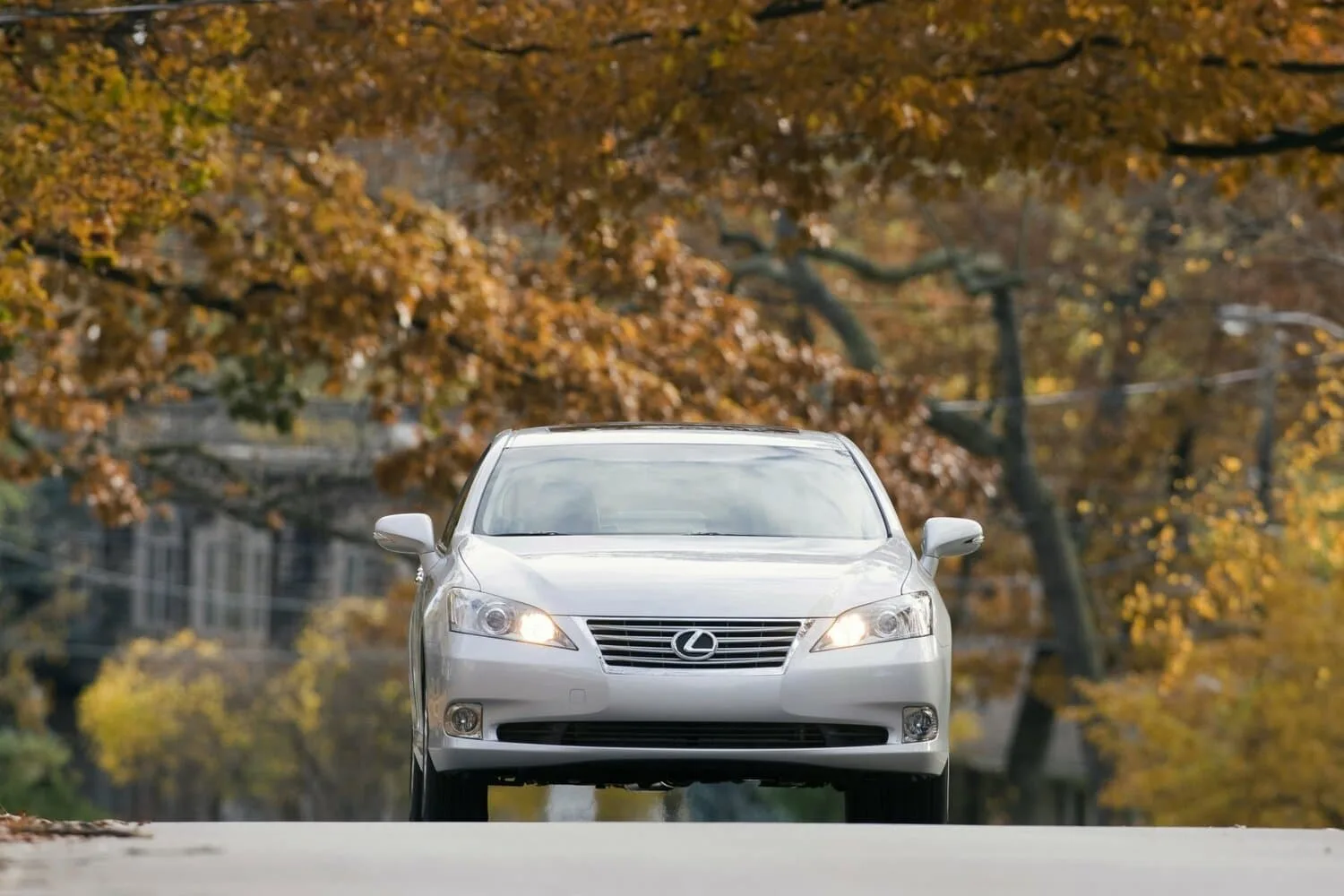 Lexus ES V Рестайлинг — фото 2