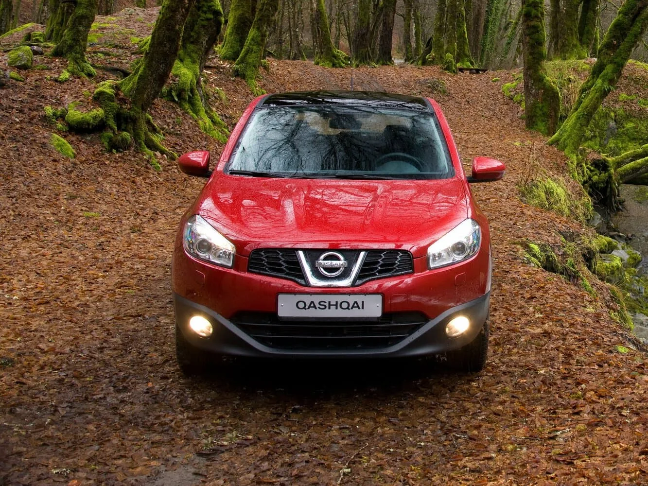 Nissan Qashqai I Рестайлинг — фото 2
