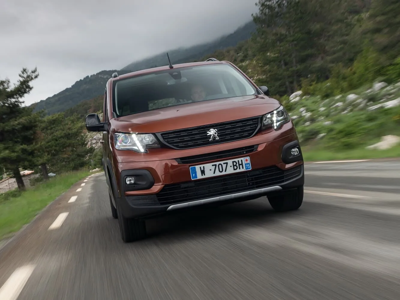 Peugeot Rifter I — фото 2
